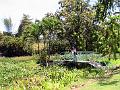 28 - Jardin des eaux 027